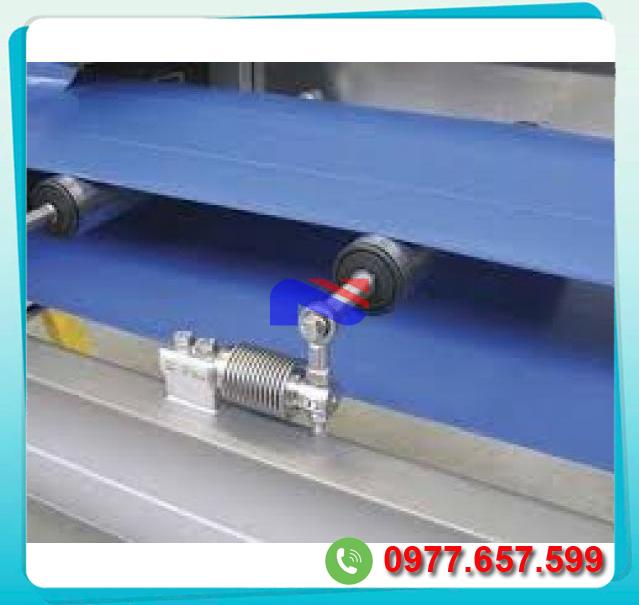  Đại lý Mẫu băng tải cân 21  tốt nhất 